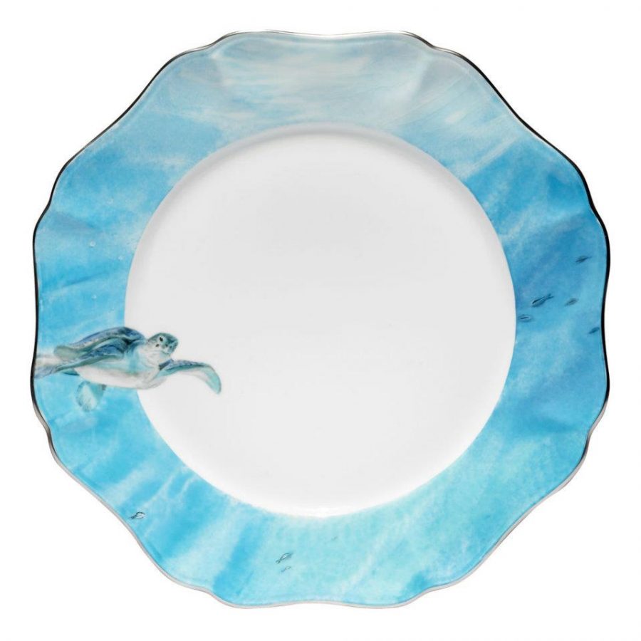 476961212 489283980890986 5097040130824026875 n