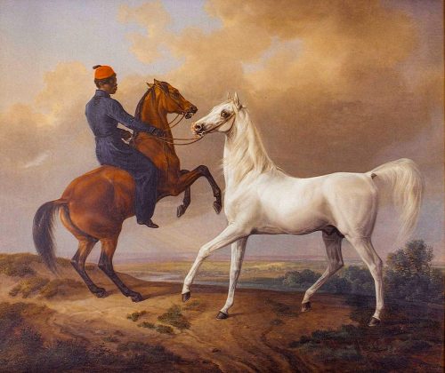 Pferde Bairactar mit Negerjunge