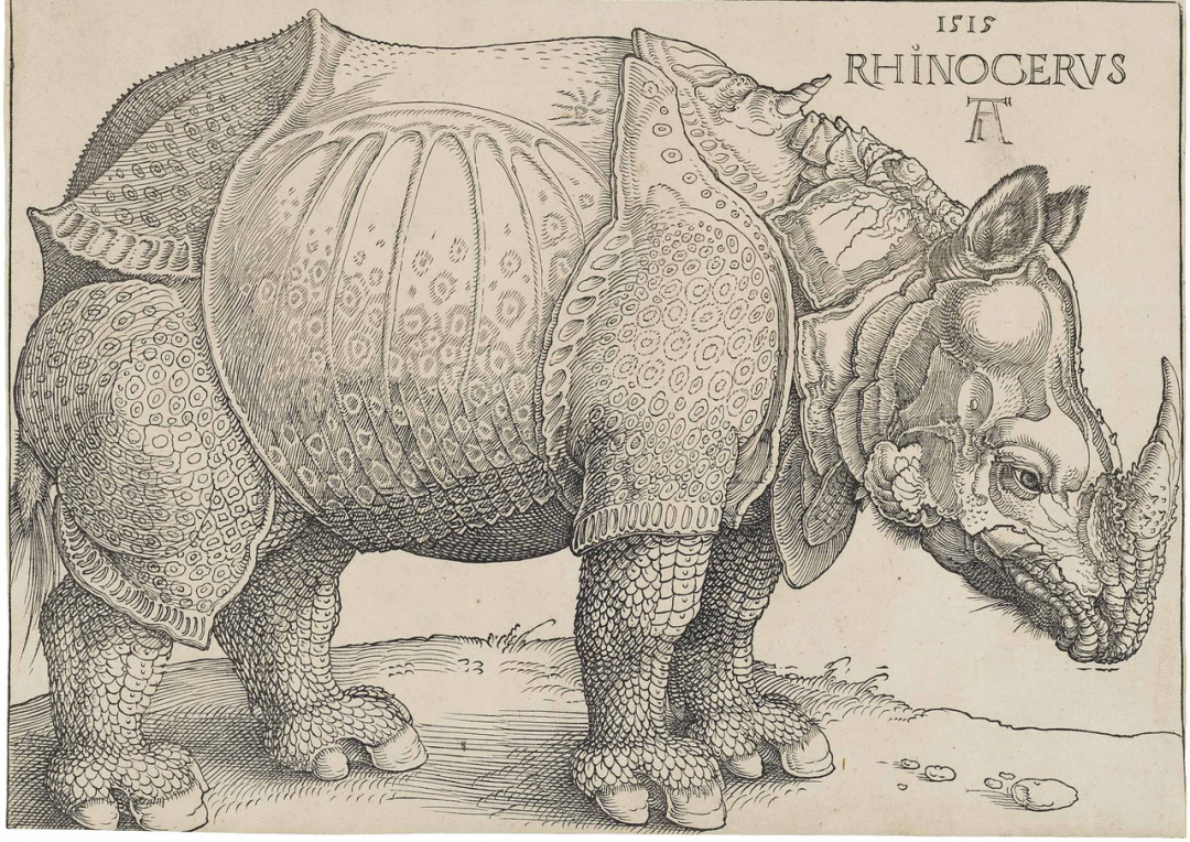 1280px Dürer's Rhinoceros,