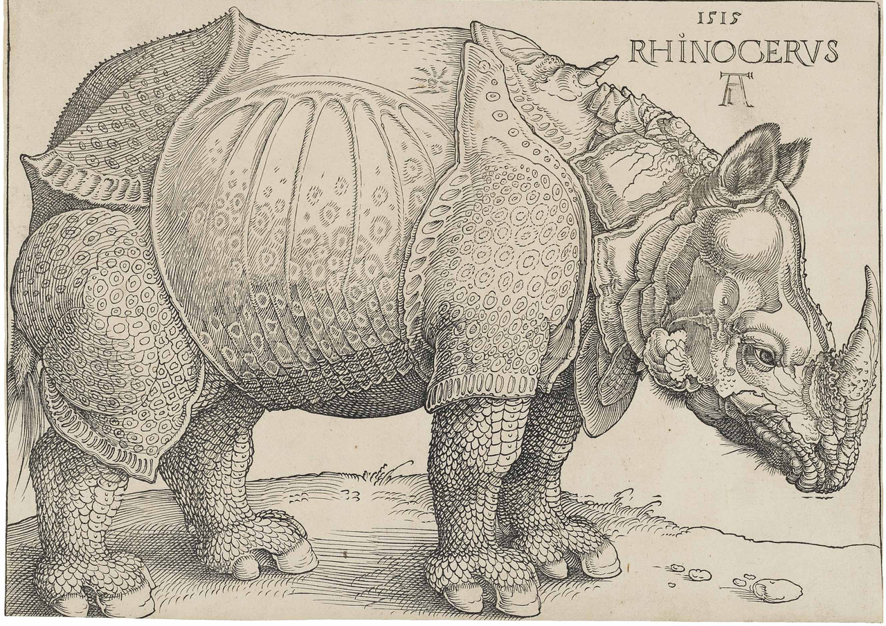 1280px Dürer's Rhinoceros,