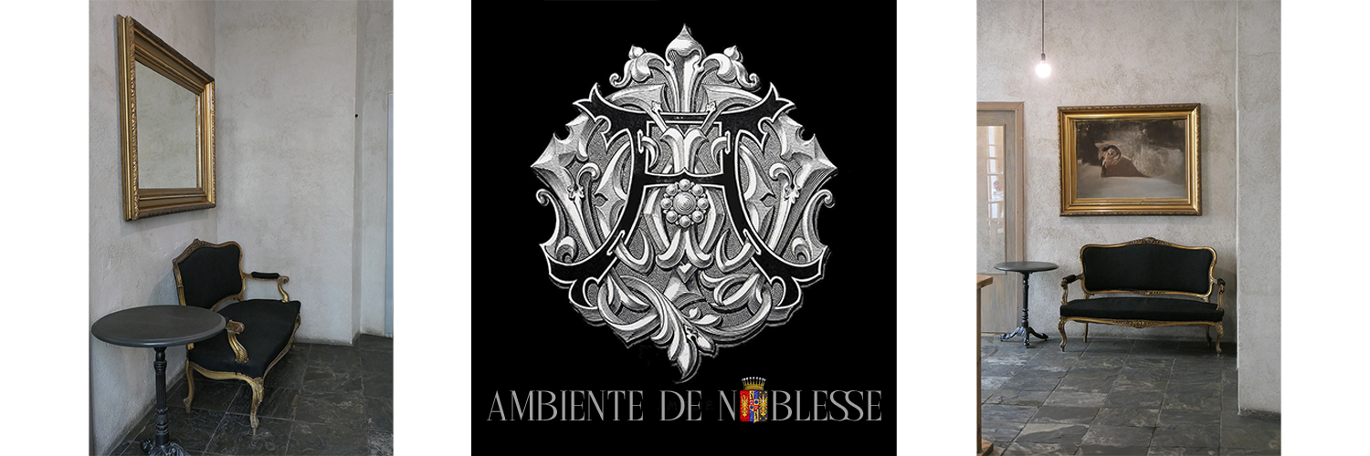Facebook Titel Ambiente de Noblesse