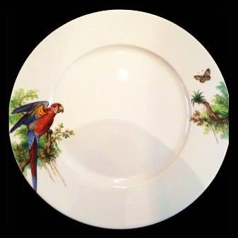 53664074 2361193747259189 1230719567249014784 n