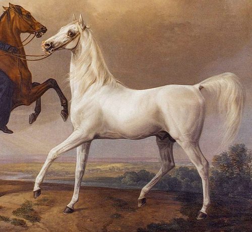 Pferde Bairactar mit Negerjunge Marbach