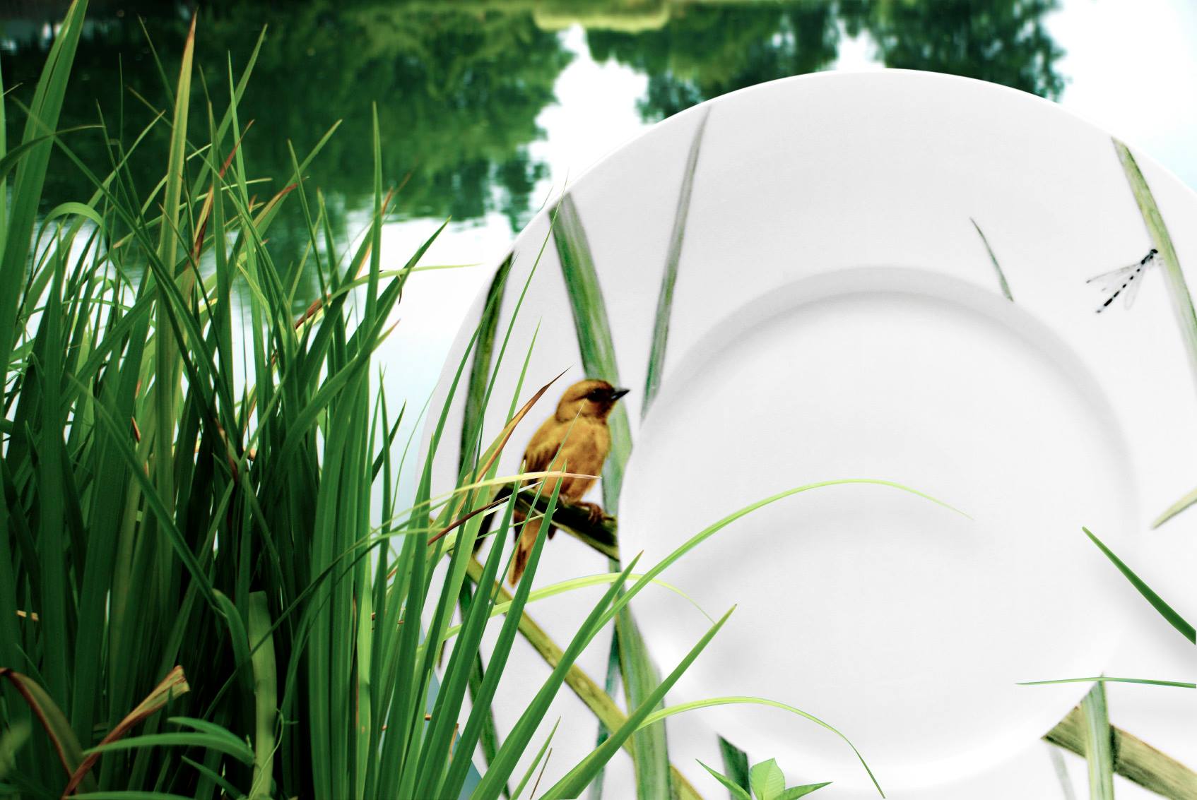 Porzellan Dekor Das Schilf Sven M von Hacht