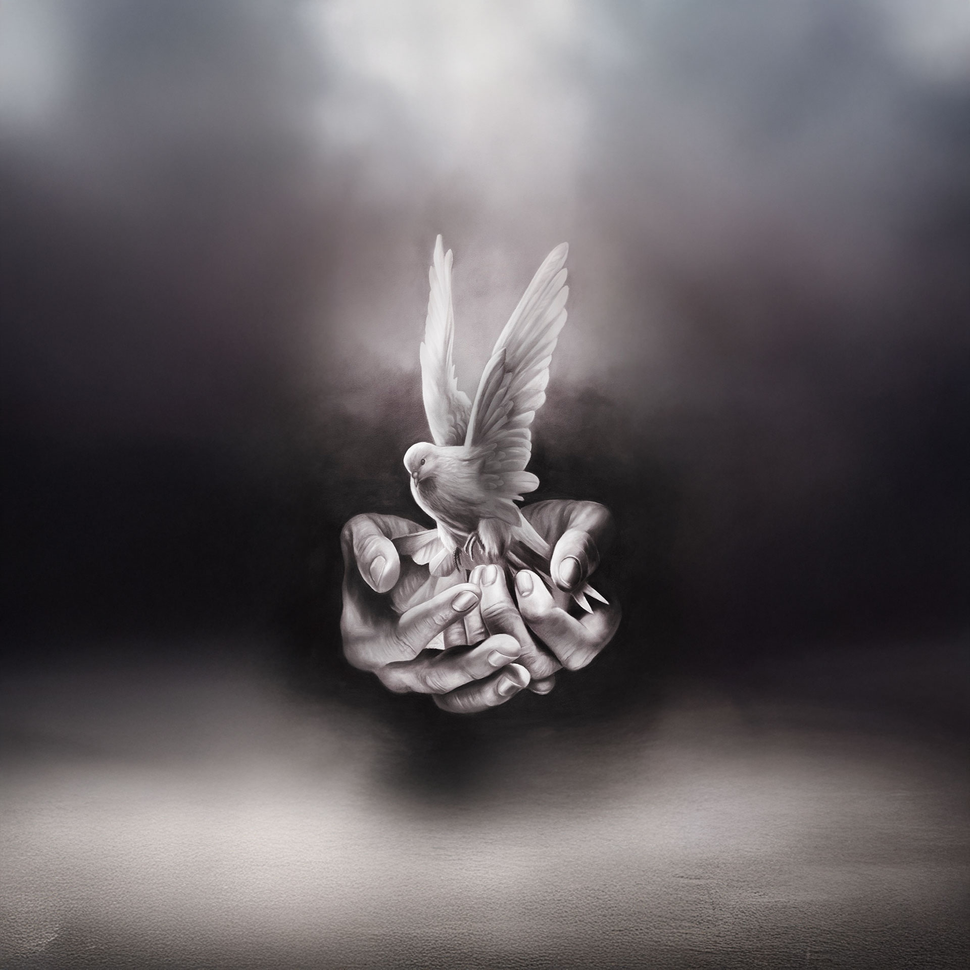 Dekor muster 79a473 37473 1 01ddd